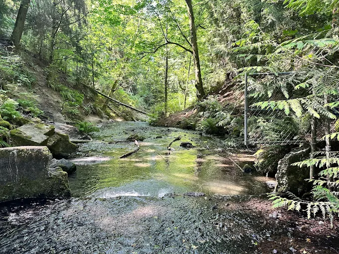 Boeing Creek Park
