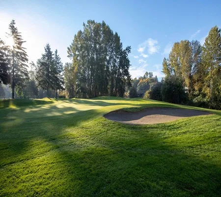 A lush green golf course with a sand bunker in the foreground stretches out under a blue sky with scattered clouds, bordered by mature trees, with sunlight filtering through the leaves.