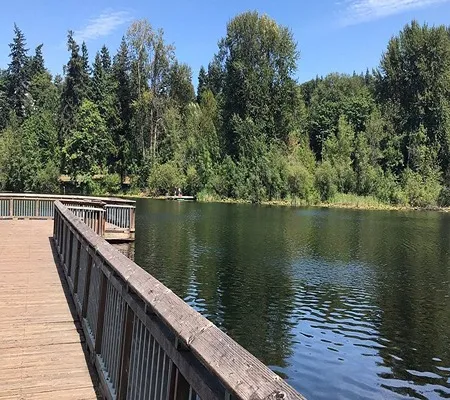 A wooden boardwalk extends over the calm, dark water of Lake Boren, surrounded by lush green trees under a clear blue sky.