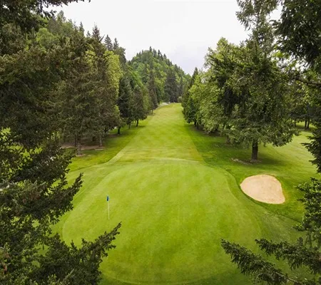 An aerial view of a lush green golf course fairway lined with tall evergreen trees, leading towards a green with a blue flagstick and a sand bunker to the right, under an overcast sky.