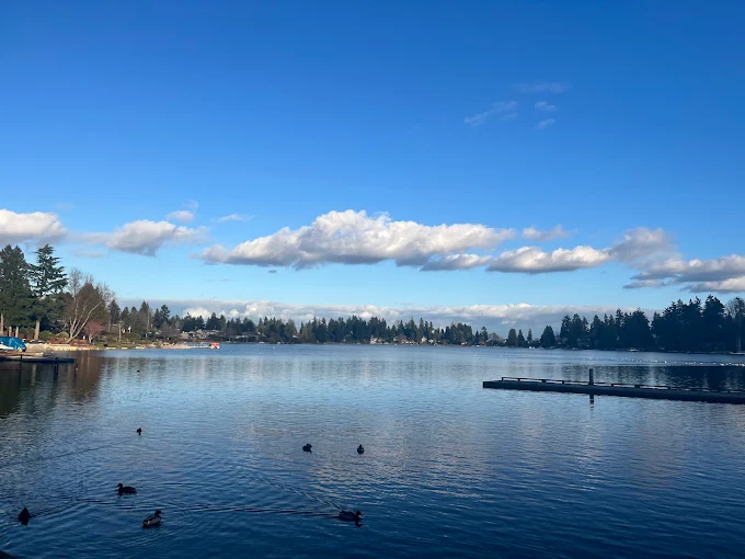 Angle Lake Park