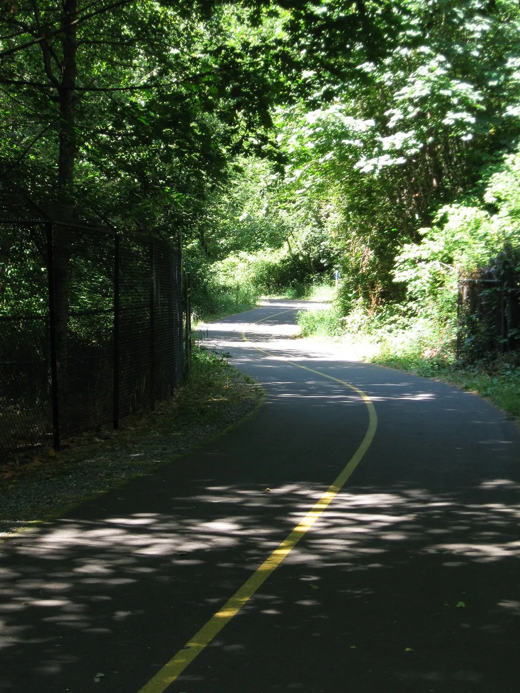 Des Moines Creek Trail