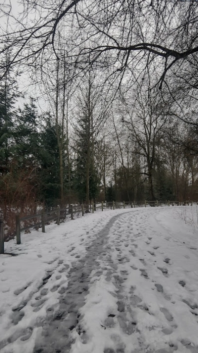 Bear Creek Trail