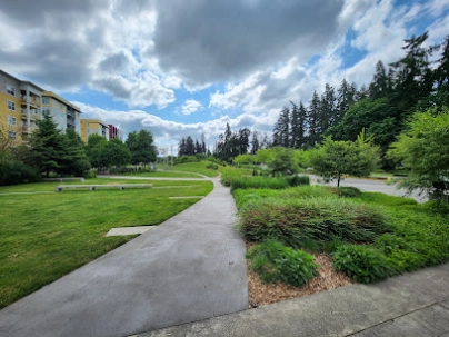Redmond Central Connector