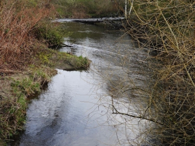 Sammamish River Trail