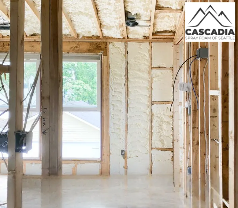spray foam insulation