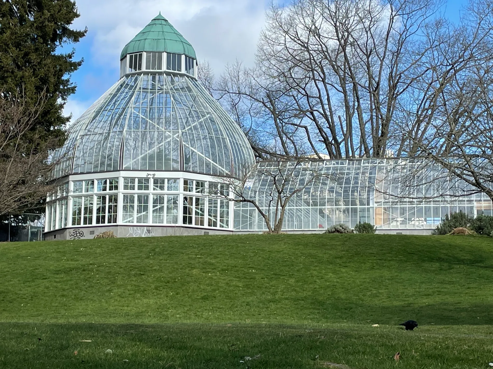 Wright Park