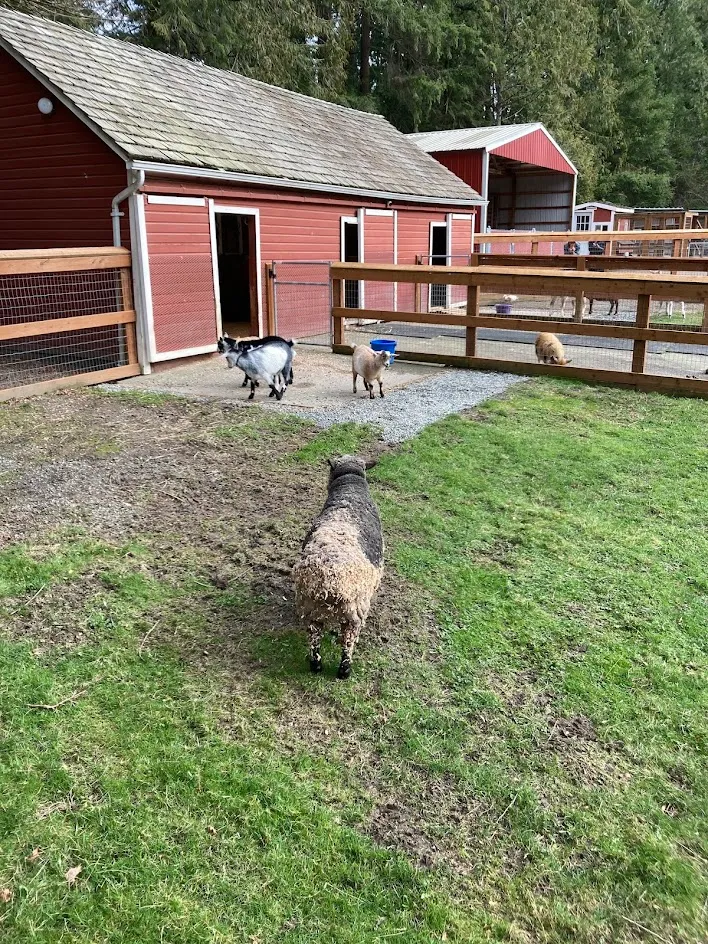 Farrel-McWhirter Farm Park