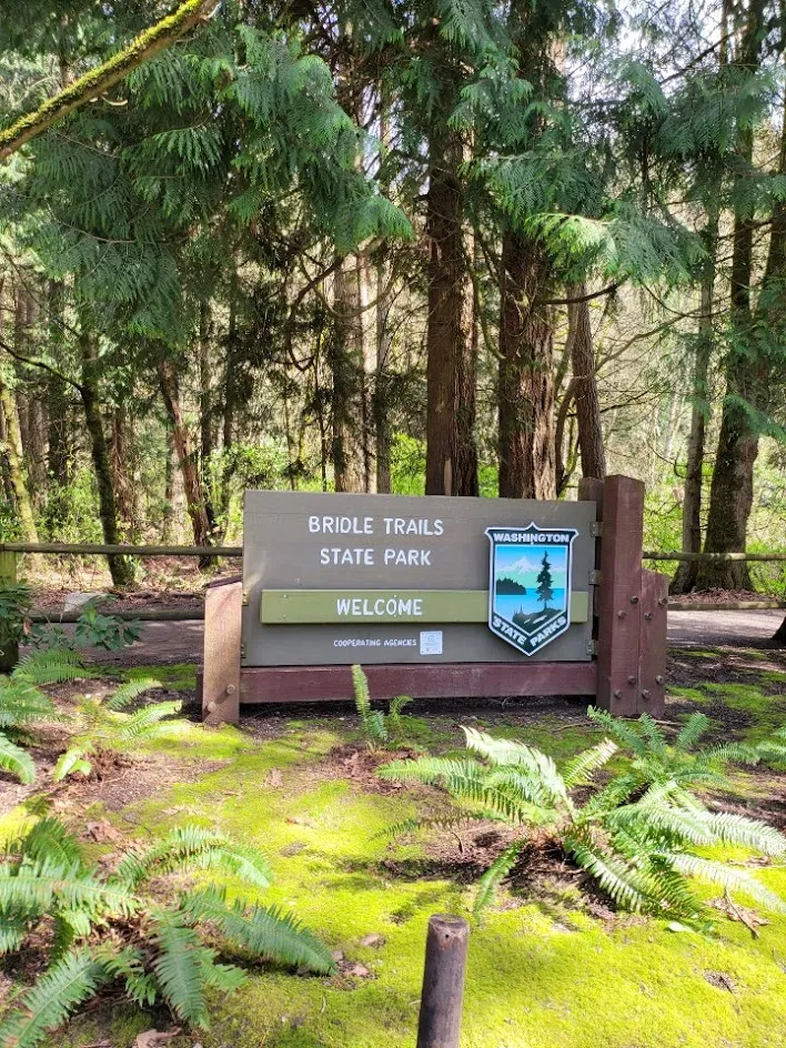 Bridle Trails State Park