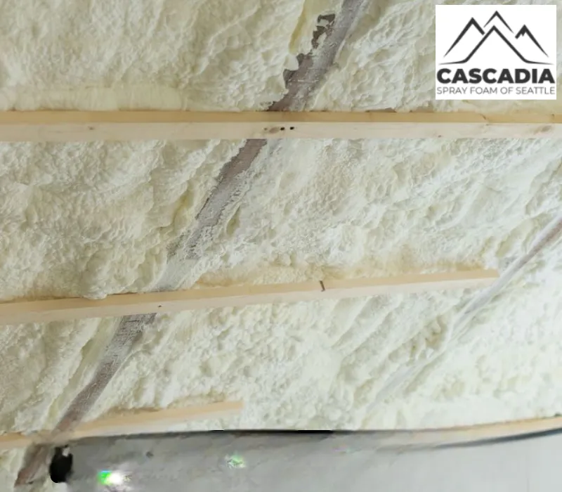 Home Insulation Cost