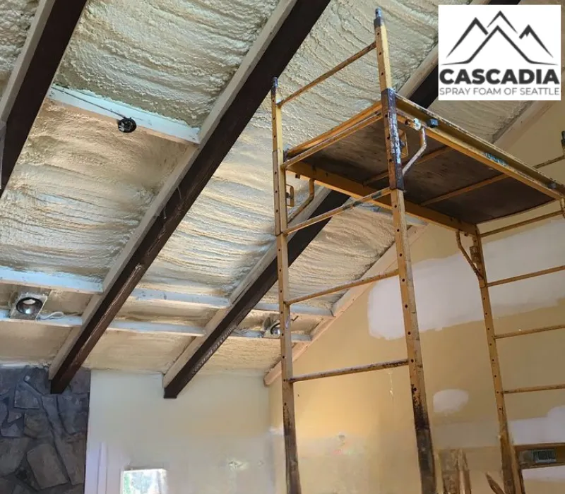 Home Insulation Cost