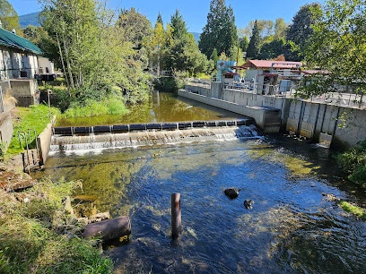 Issaquah Salmon Hatchery