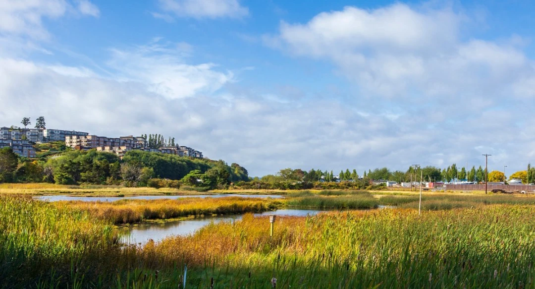 Edmonds Marsh Park