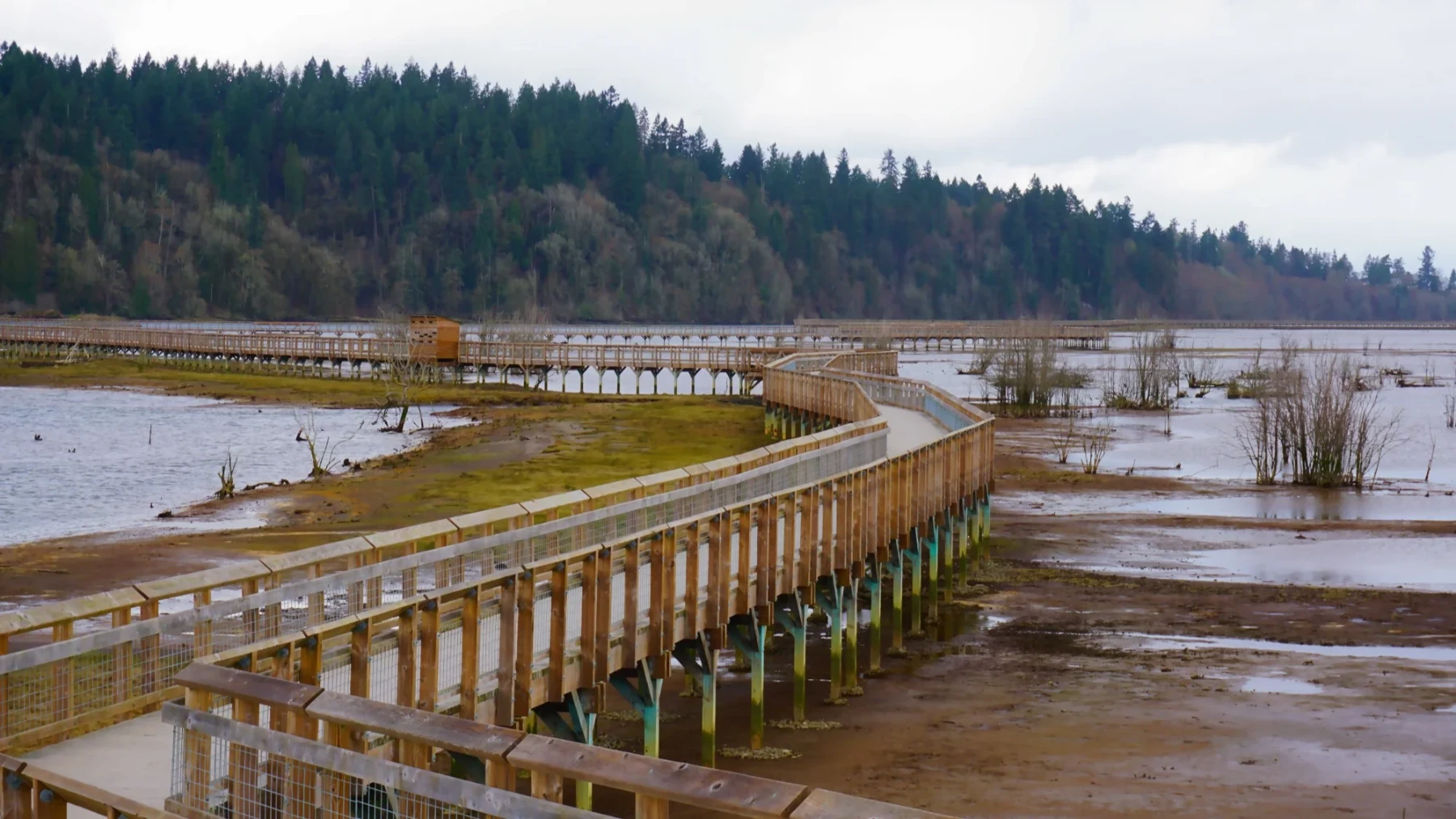 Nisqually National Wildlife Refuge