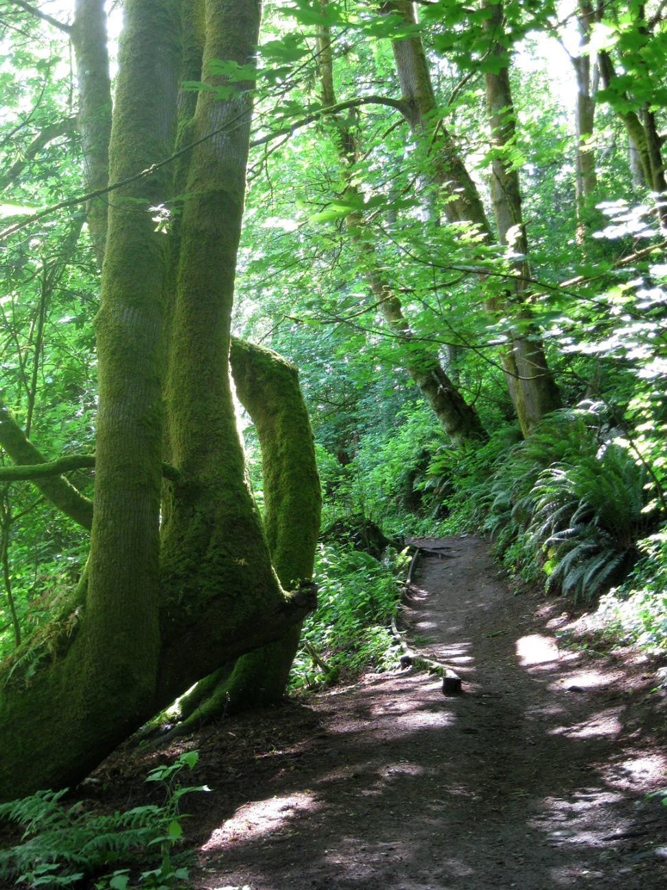 Yost Park and Lunds Gulch Trail