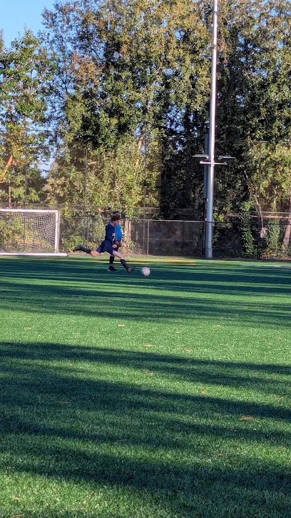 Evergreen Playfield Complex