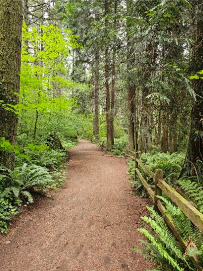 McCollum Park