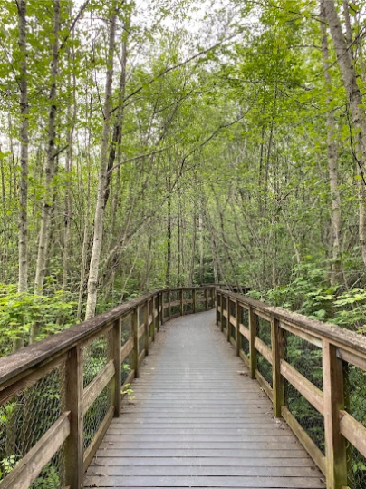 Narbeck Wetland Sanctuary